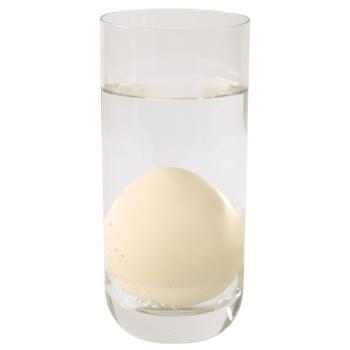 Preview: Wachsendes Dino-Ei